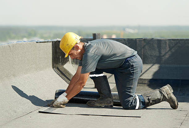 Best Commercial Insulation in Lafayette, TN